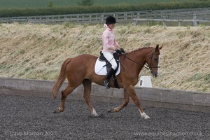 ISIS Dressage Challenge 2008